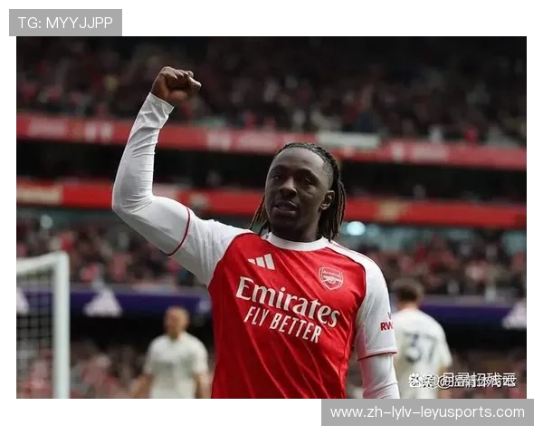 2016年英超各球队球员表现回顾 2016年英超各球队球员表现回顾